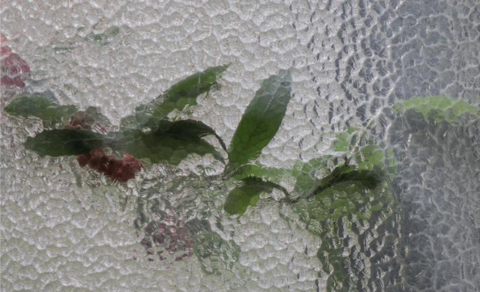 The real beauty of trust lies in the unknown.